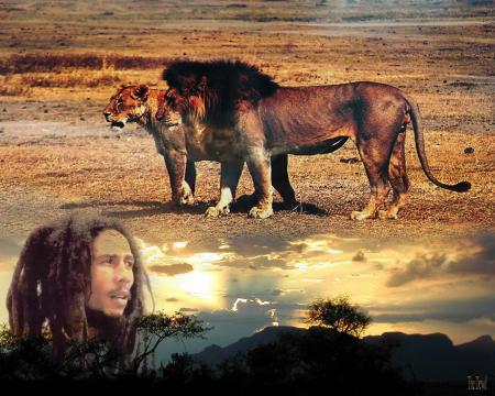 bob et laye